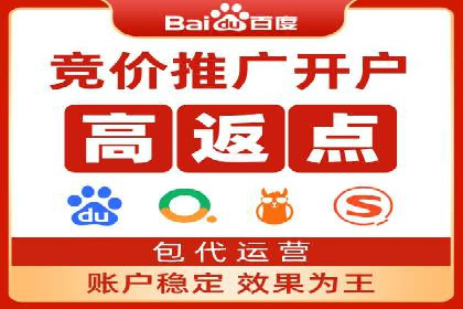 SEM托管服务成功案例：见证品牌成长